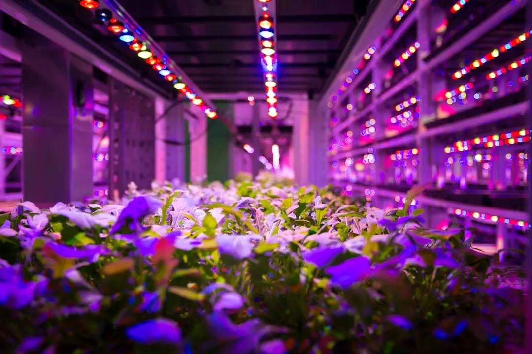 陕西趣联互娱科技：休闲游戏软件研发中的技术架构与实现路径
